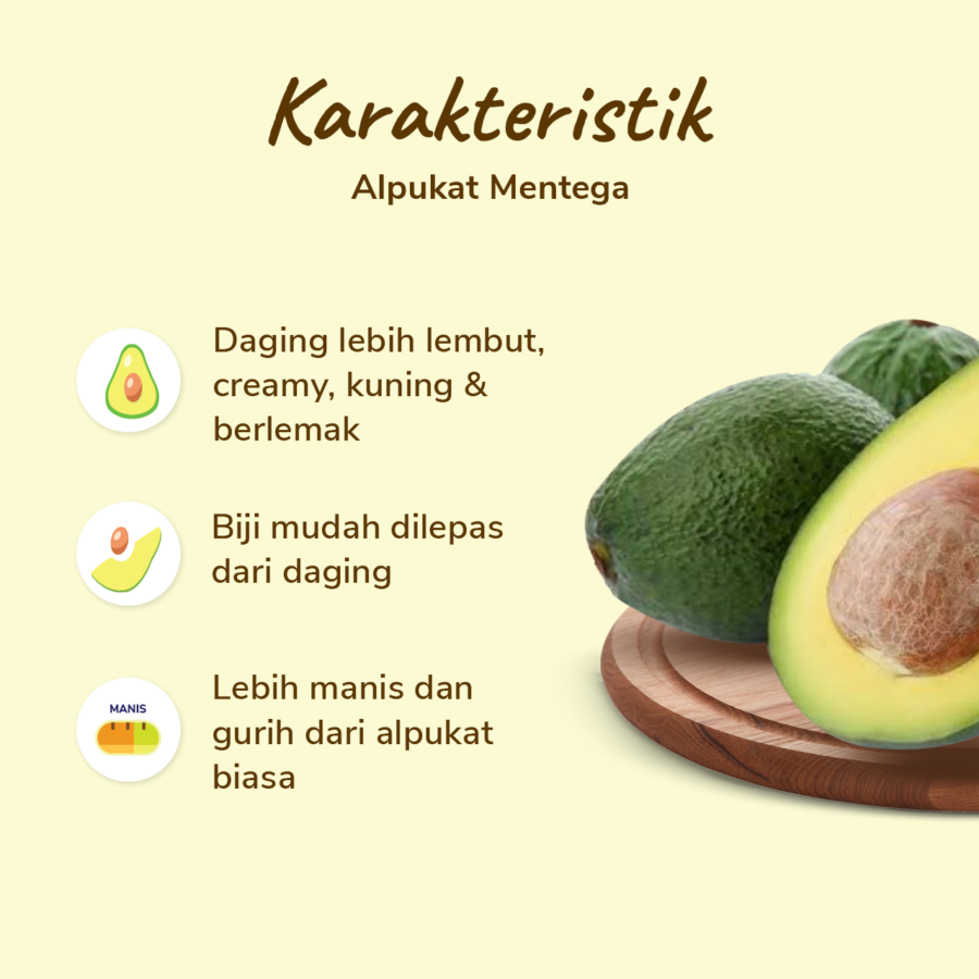 Alpukat Mentega Astro Farm 1-2 pcs 400-500 gram