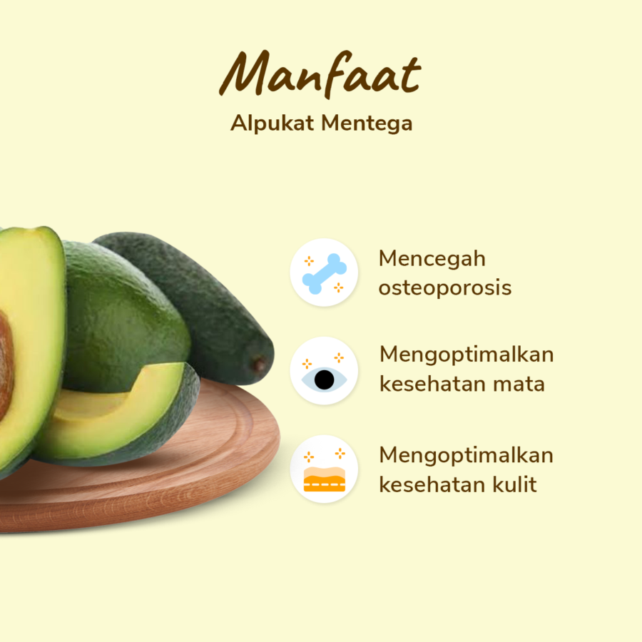 Alpukat Mentega Astro Farm 1-2 pcs 400-500 gram