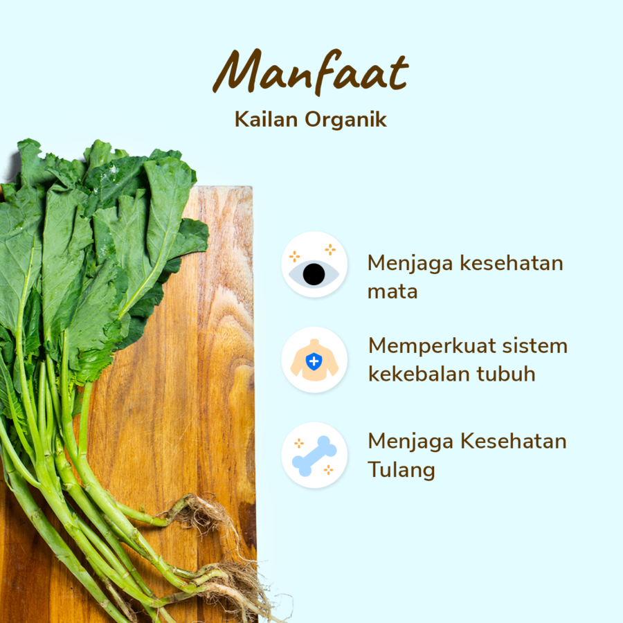 Kailan Organik Astro Farm 250gram