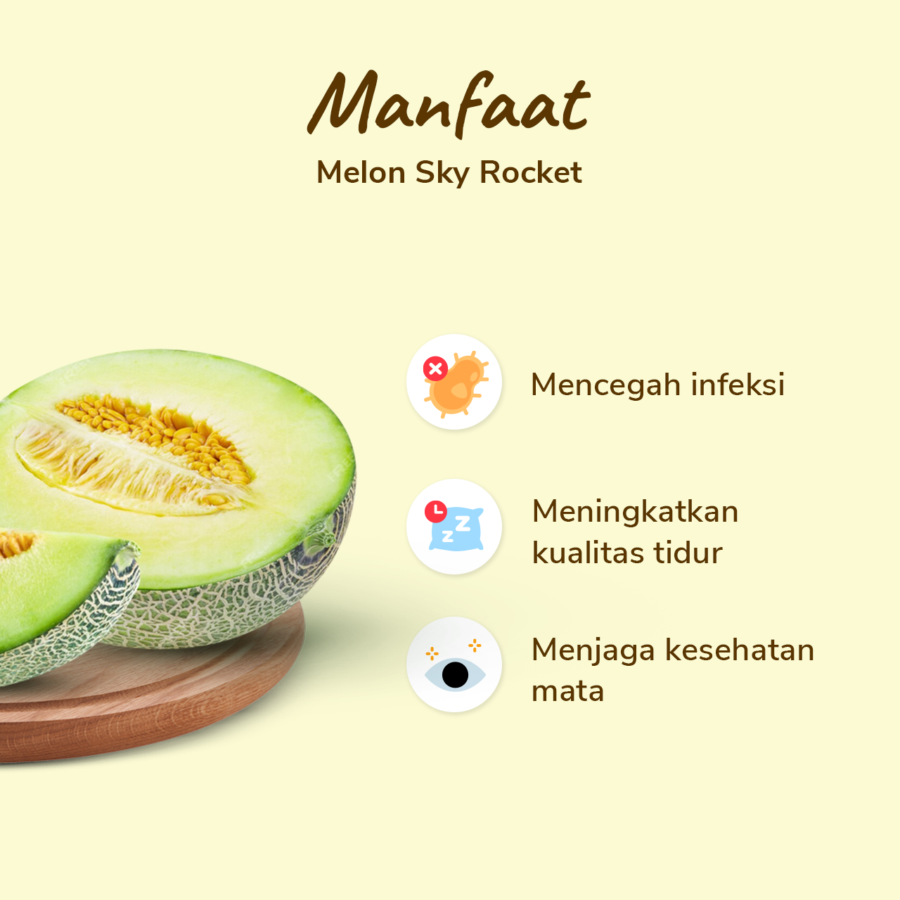 Melon Sky Rocket Astro Farm 1 pcs 1.4-1.7 kg