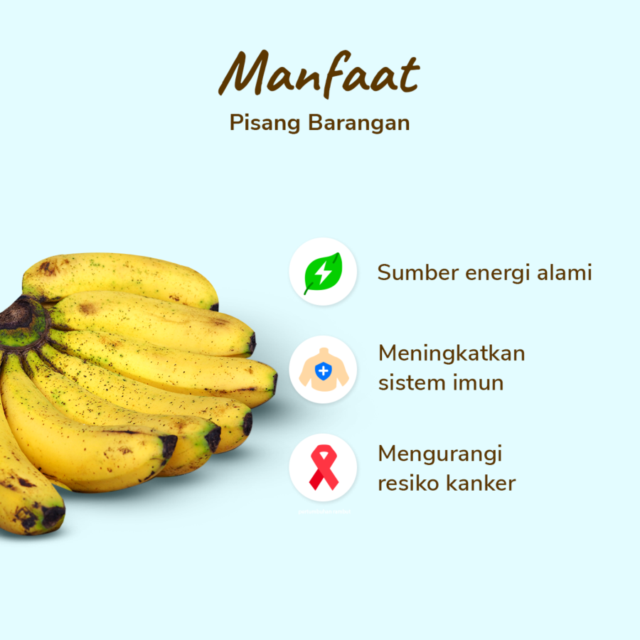 Pisang Barangan Astro Farm 4-5 pcs 250-350 gram