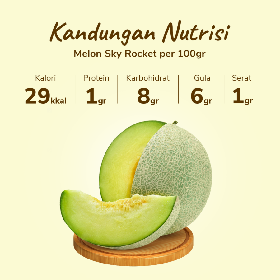 Melon Sky Rocket Astro Farm 1 pcs 1.4-1.7 kg