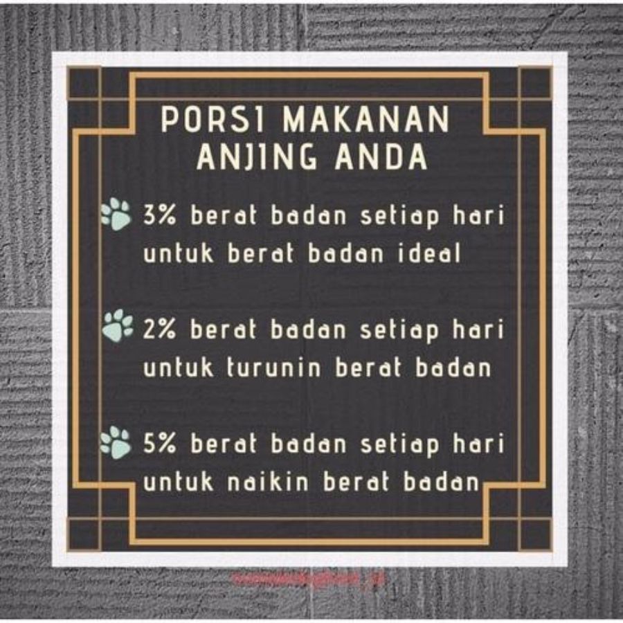 Nutriale Raw Chicken & Salmon Makanan Anjing Basah 500gram