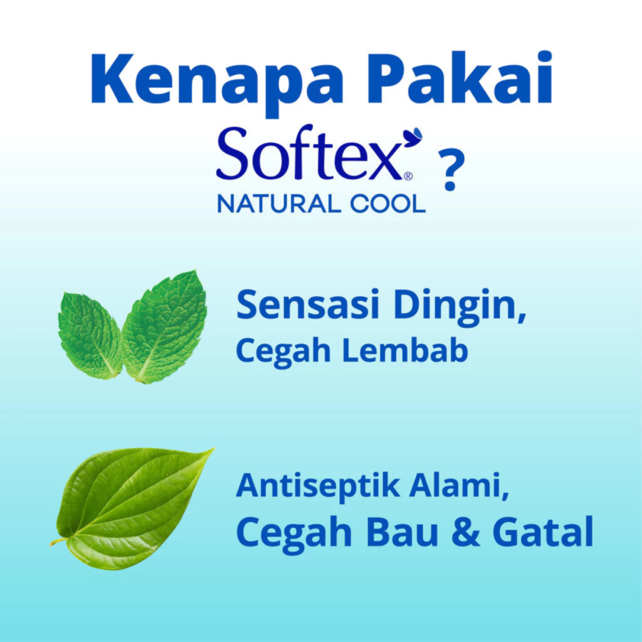 Softex Beary Cool Slim Wing 23 cm Pembalut Kewanitaan 14pads