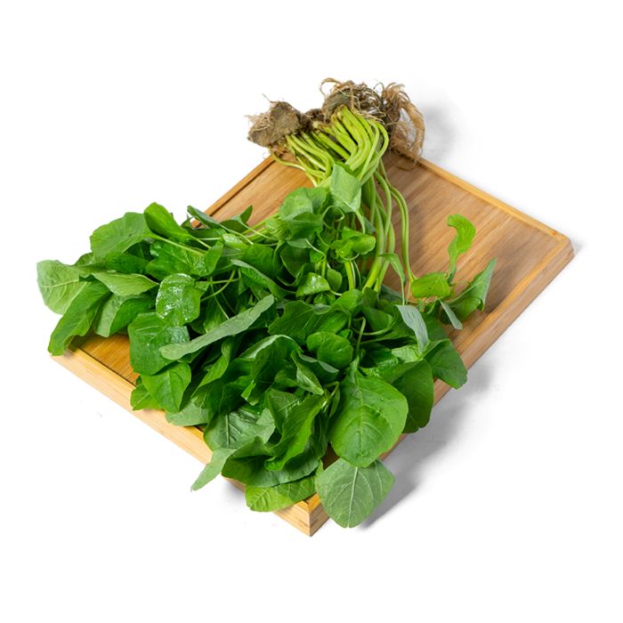 Baby Bayam Hydroponic Astro Farm
