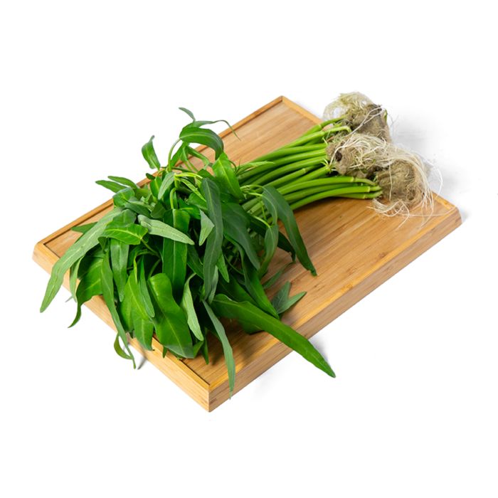 Baby Kangkung Hydroponic Astro Farm