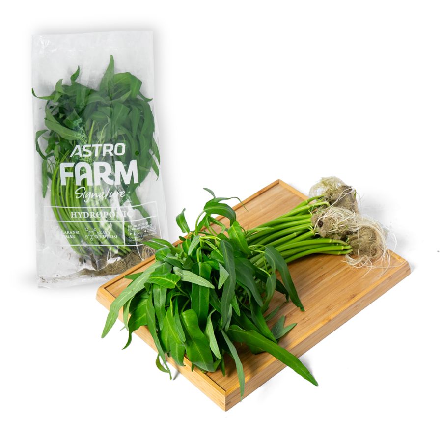 Baby Kangkung Hydroponic Astro Farm 200gram