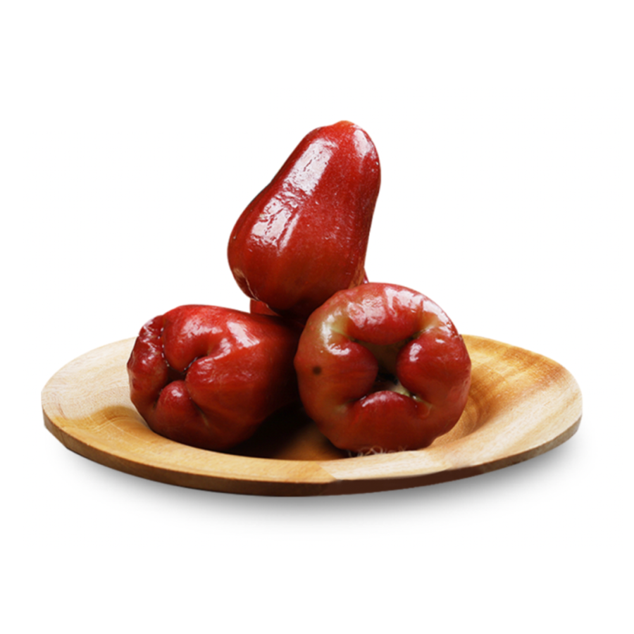 Jambu Air Citra Astro Farm 3 pcs 200-300 gram