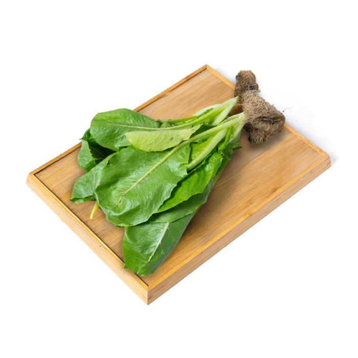 Selada Romaine Hydroponic Astro Farm