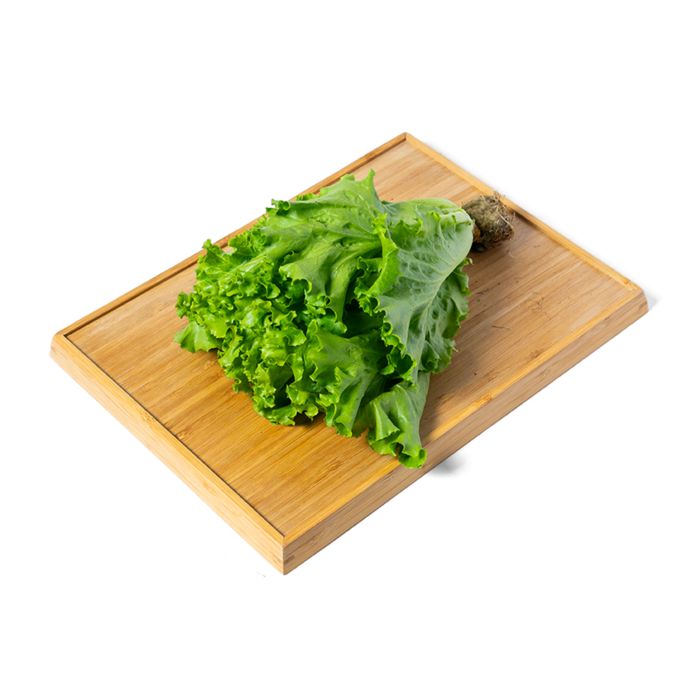 Selada Keriting Hydroponic Astro Farm