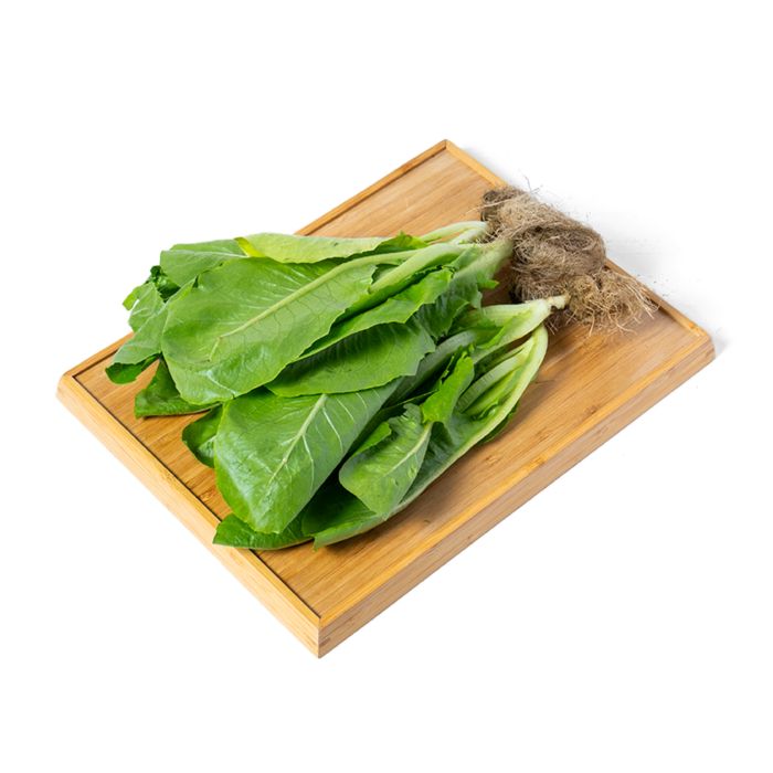 Selada Romaine Hydroponic Astro Farm