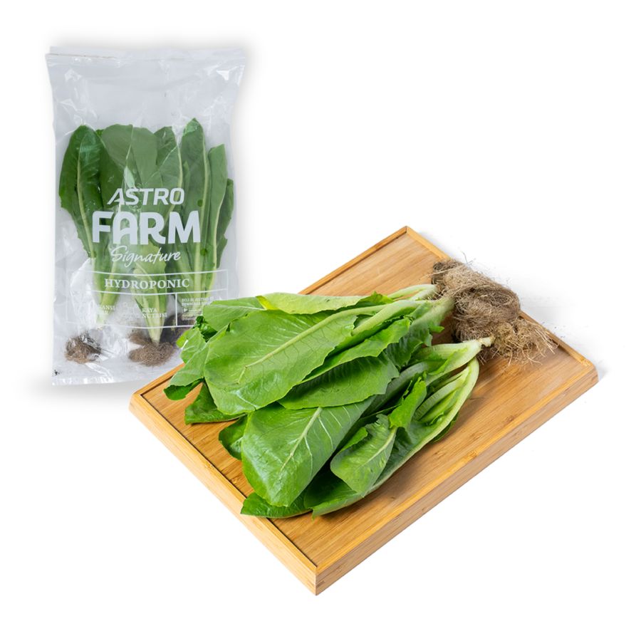 Selada Romaine Hydroponic Astro Farm 200gram
