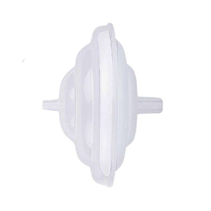 Spectra Back Flow Preventer