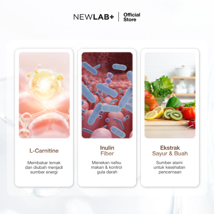 NEWLAB Fitlogy Coffee Minuman Diet 15sachets