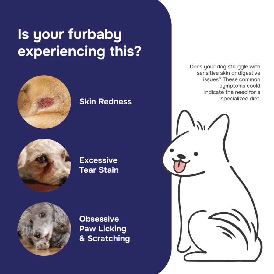 Pawmeals Cooked Lamb of Fame Sensitive Series Makanan Anjing Basah 100gram