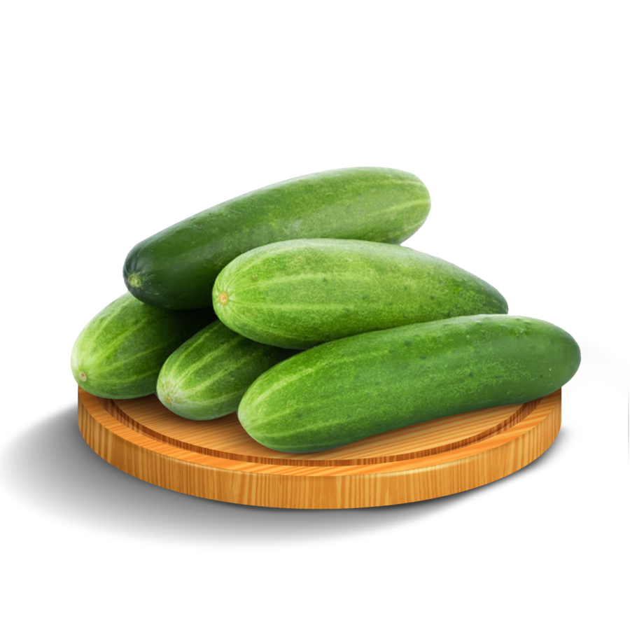 Timun Fresh Astro Farm 250gram