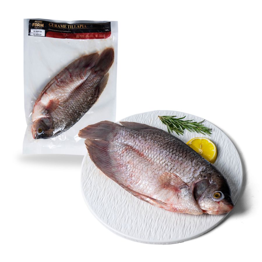 Ikan Gurame Wild Caught 500gram