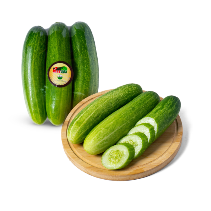 Timun Organic Astro Farm