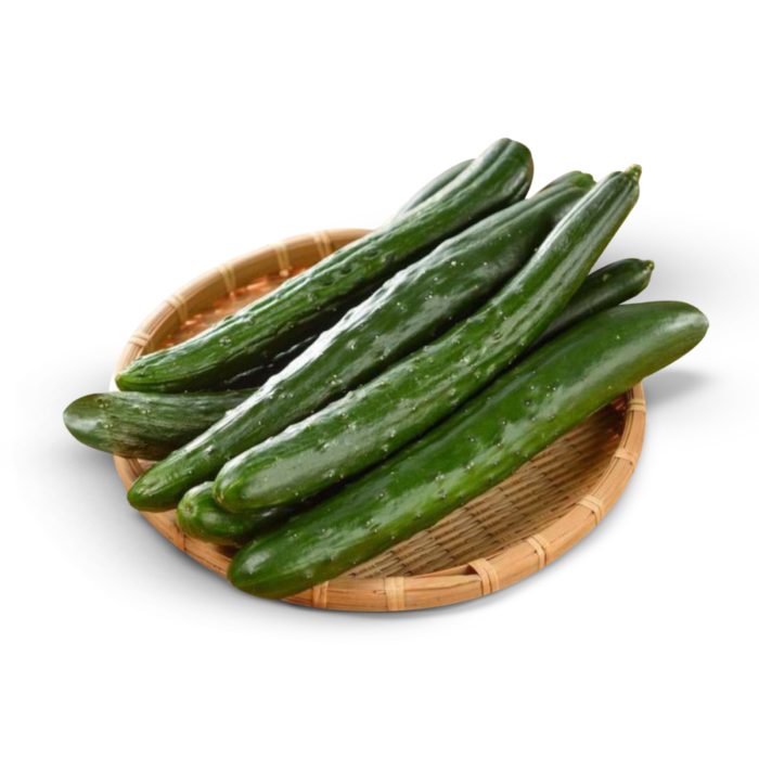 Timun Jepang Kyuri Astro Farm