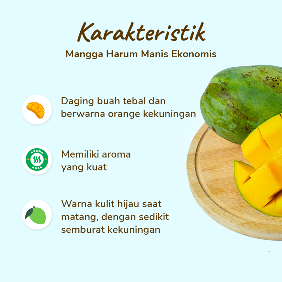 Mangga Harum Manis Ekonomis Astro Farm 2-4 pcs 900-1000 gram