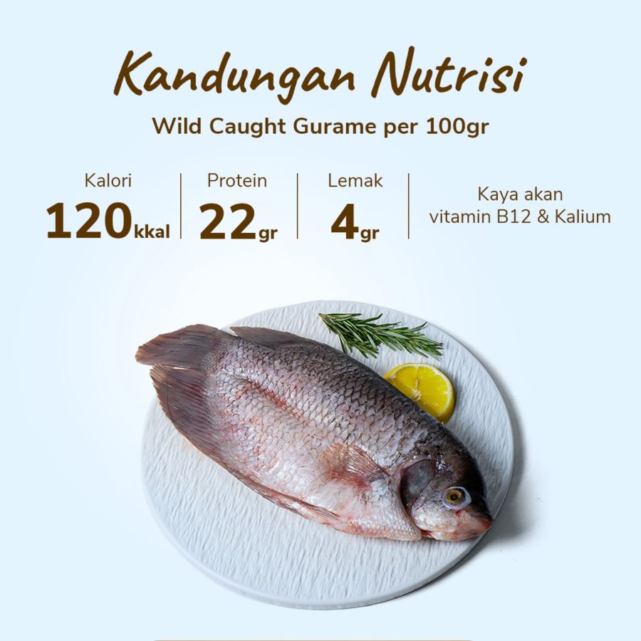 Ikan Gurame Wild Caught 500gram