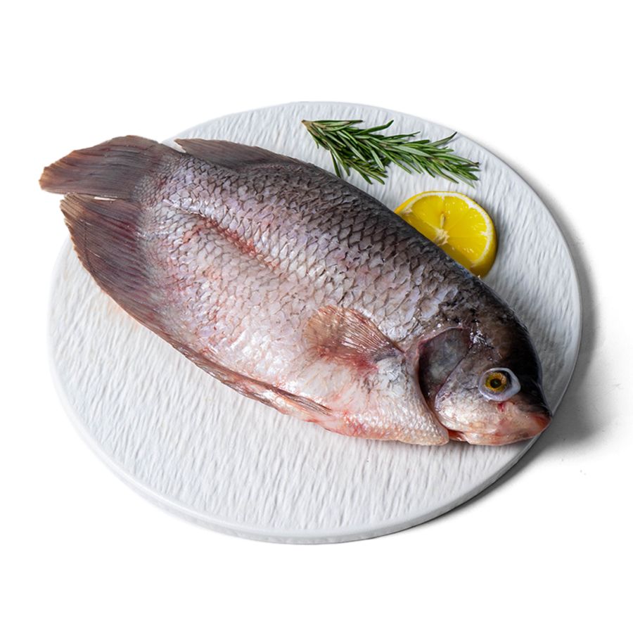 Ikan Gurame Wild Caught 500gram
