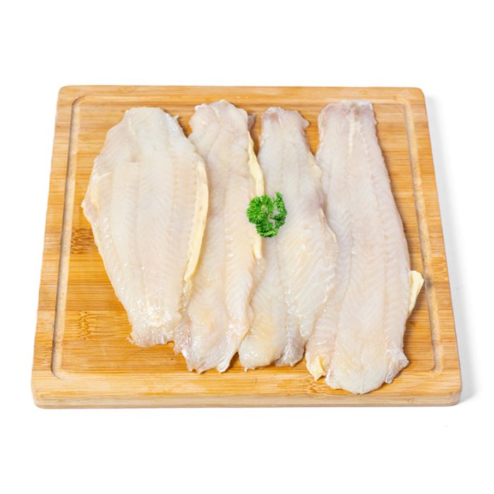 Ikan Dori Ekonomis
