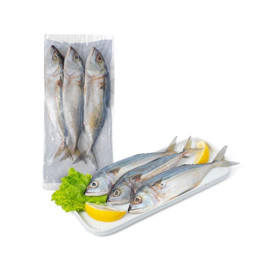 Ikan Kembung Banjar Wild Caught 400gram