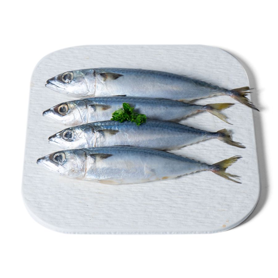 Ikan Salem Utuh Ekonomis 500gram