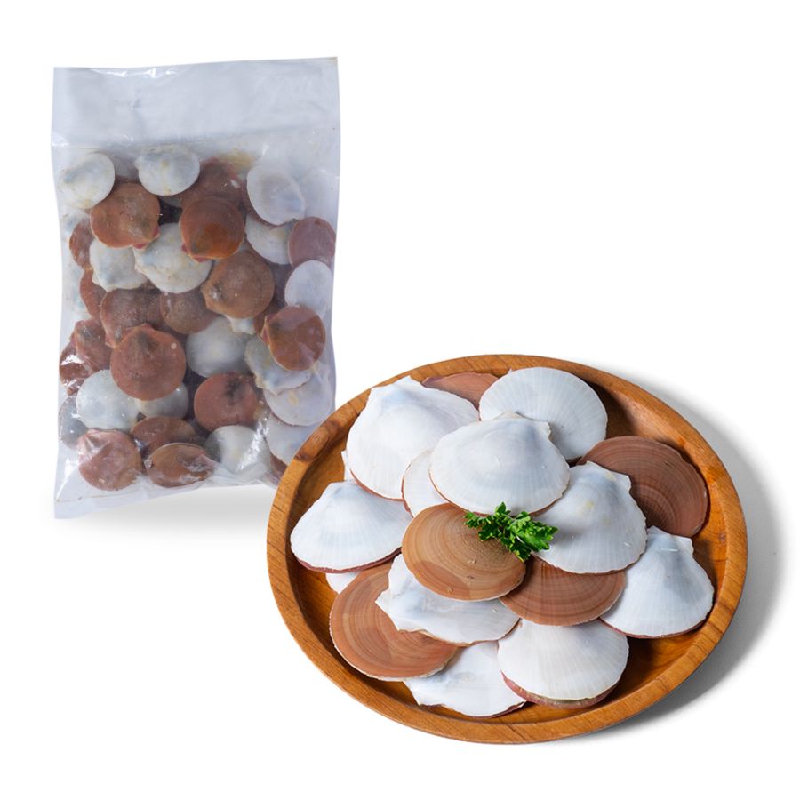 Kerang Simping Utuh Ekonomis 1kg