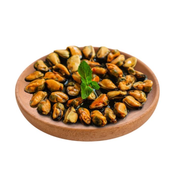 Kerang Batu Matang Javasea