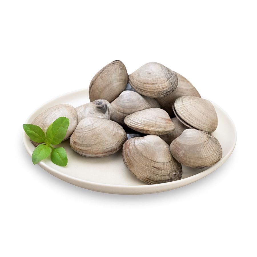 Kerang Kepa Utuh Astro Basics 500gram