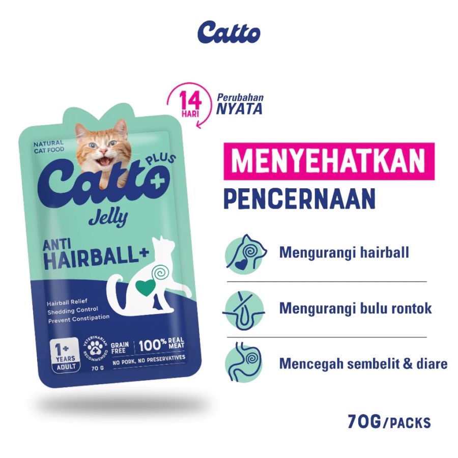 Catto Plus Anti Hairball Makanan Kucing Basah 70gram