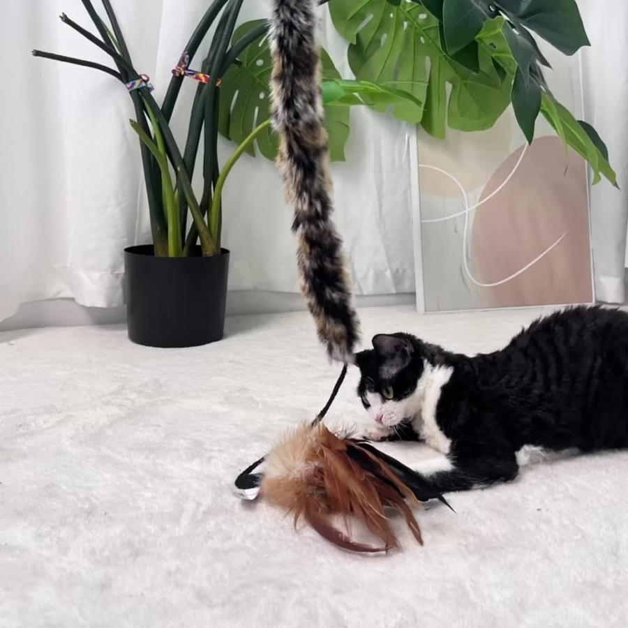 GiGwi Fishing Feather Teaser Stick Mainan Kucing 1pcs