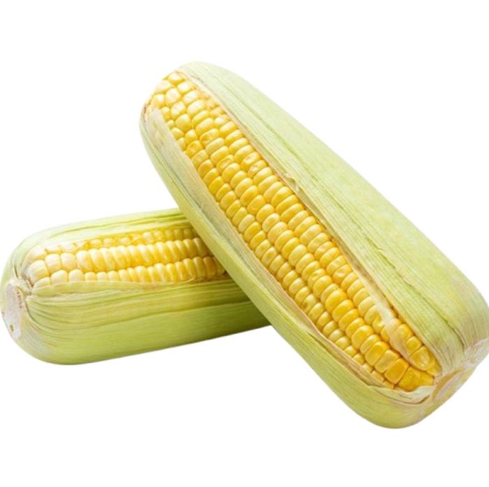 Jagung Manis Kulit Astro Farm
