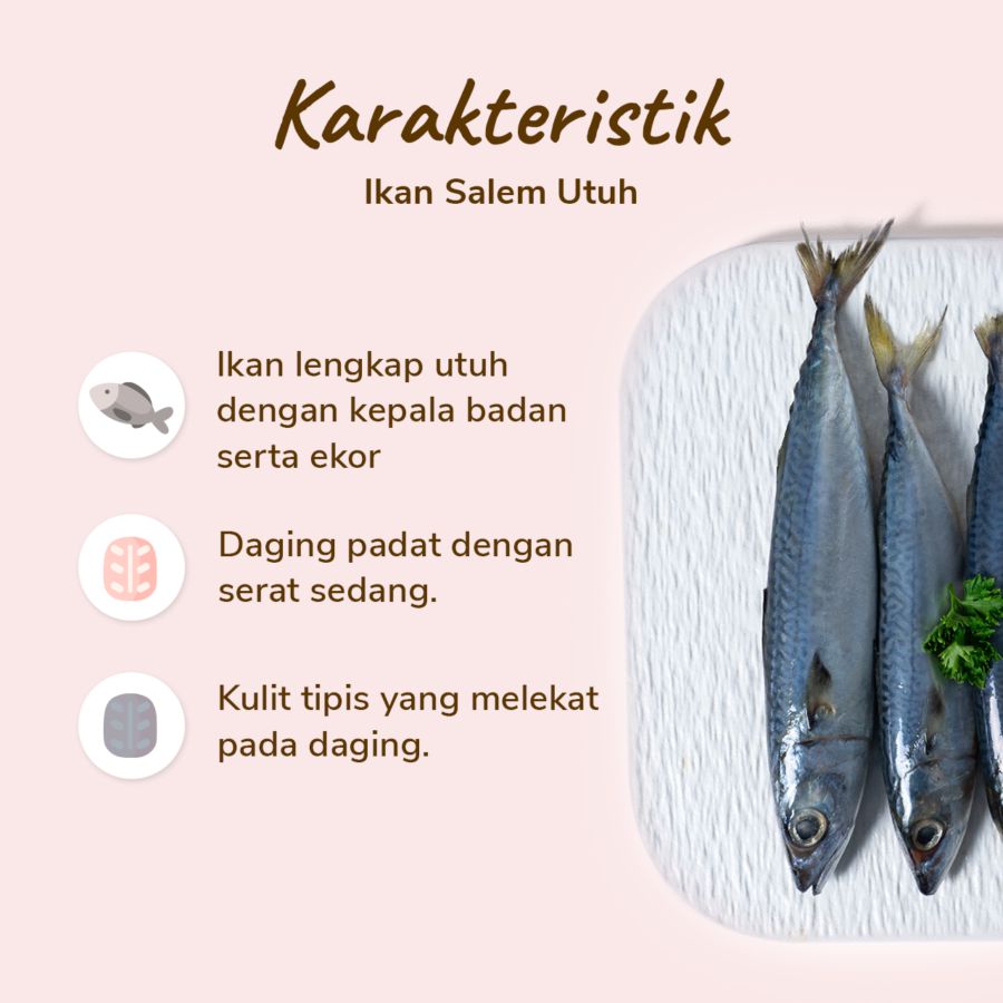 Ikan Salem Utuh Ekonomis 500gram