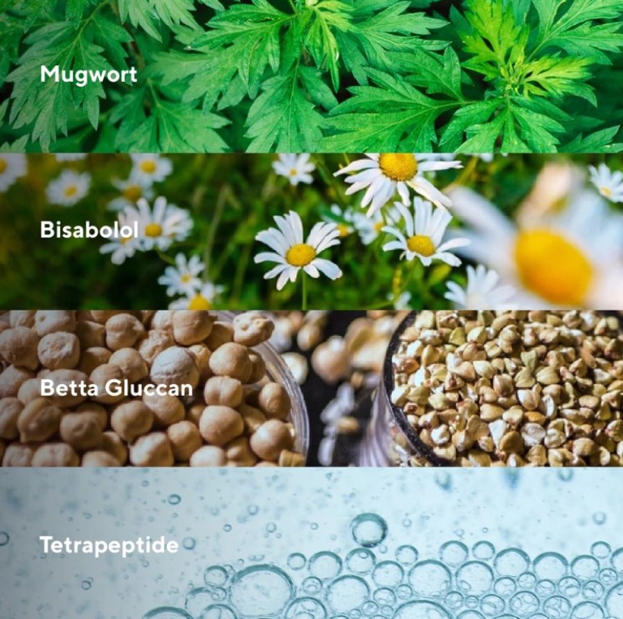 True to Skin Mugwort Tripeptide Moisturizer Gel Cream - Soothing & Hydrating (Pelembab) 30gram