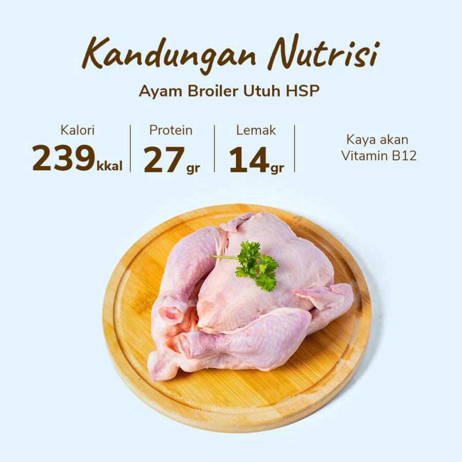 Ayam Broiler Utuh HSP 500-600 gram