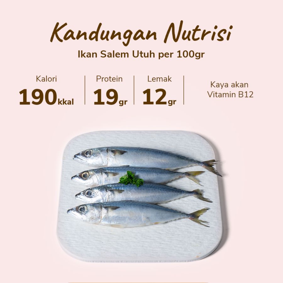 Ikan Salem Utuh Ekonomis 500gram