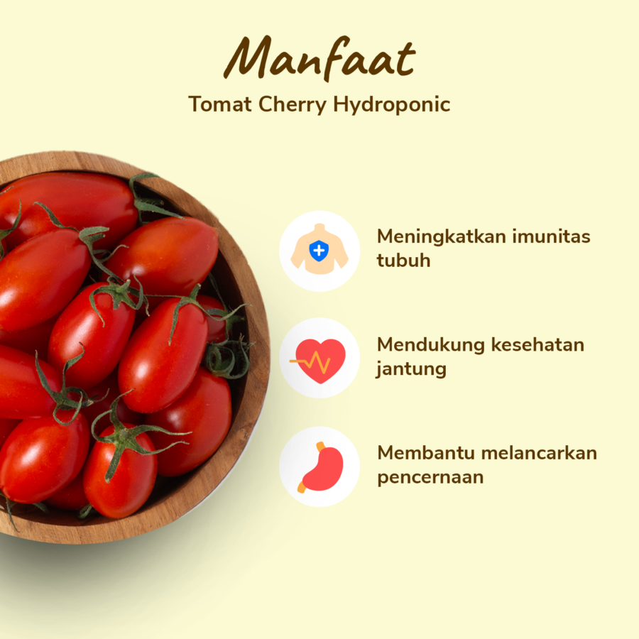 Tomat Cherry Hydroponic Astro Farm 250gram