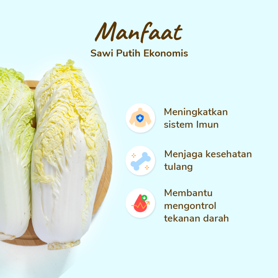 Sawi Putih Ekonomis Astro Farm 500gram