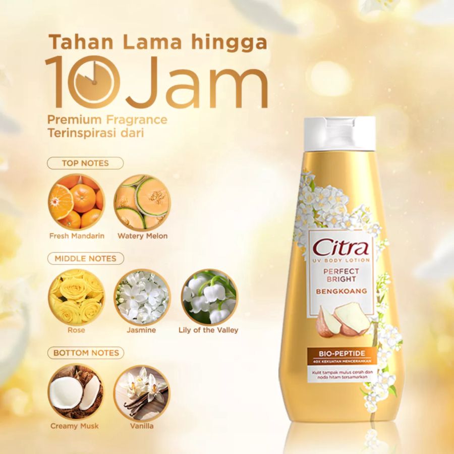 Citra Perfect Bright Bengkoang UV Body Lotion 210ml