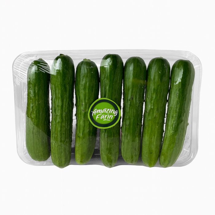 Amazing Farm Mini Cucumber