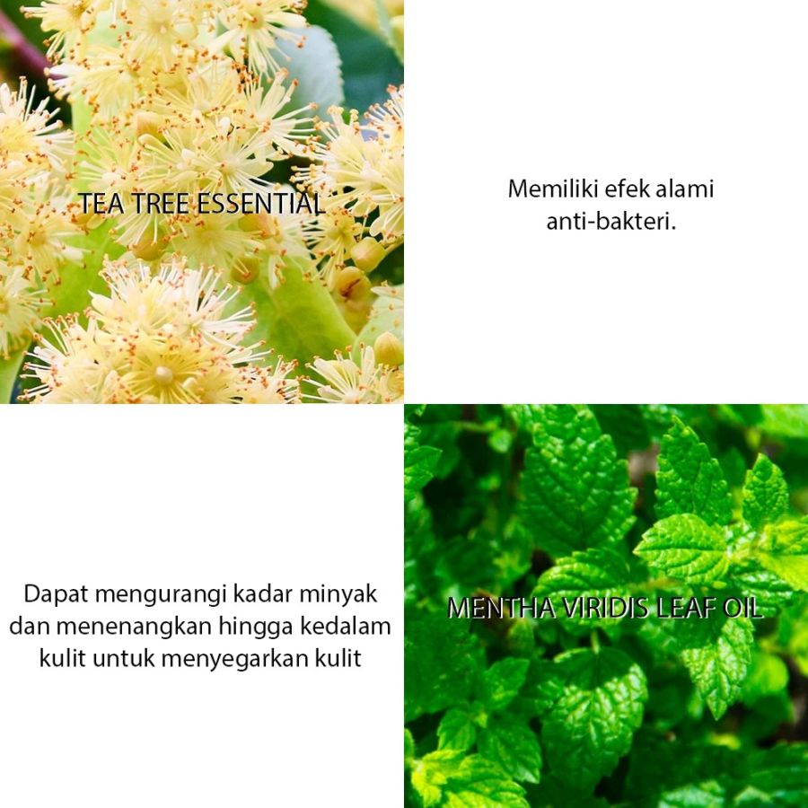 Breylee Acne Treatment Cream 20gram