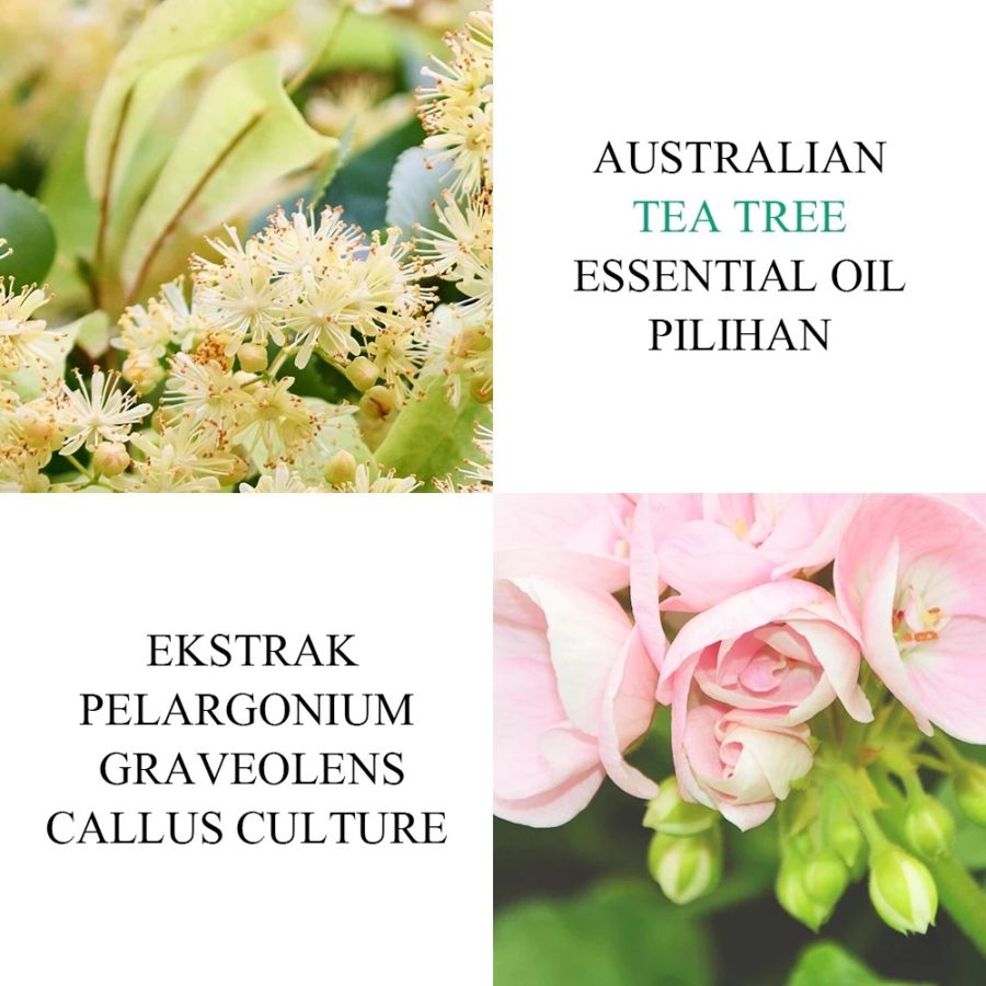 Breylee Tea Tree Blackhead Mask Step 1 17ml