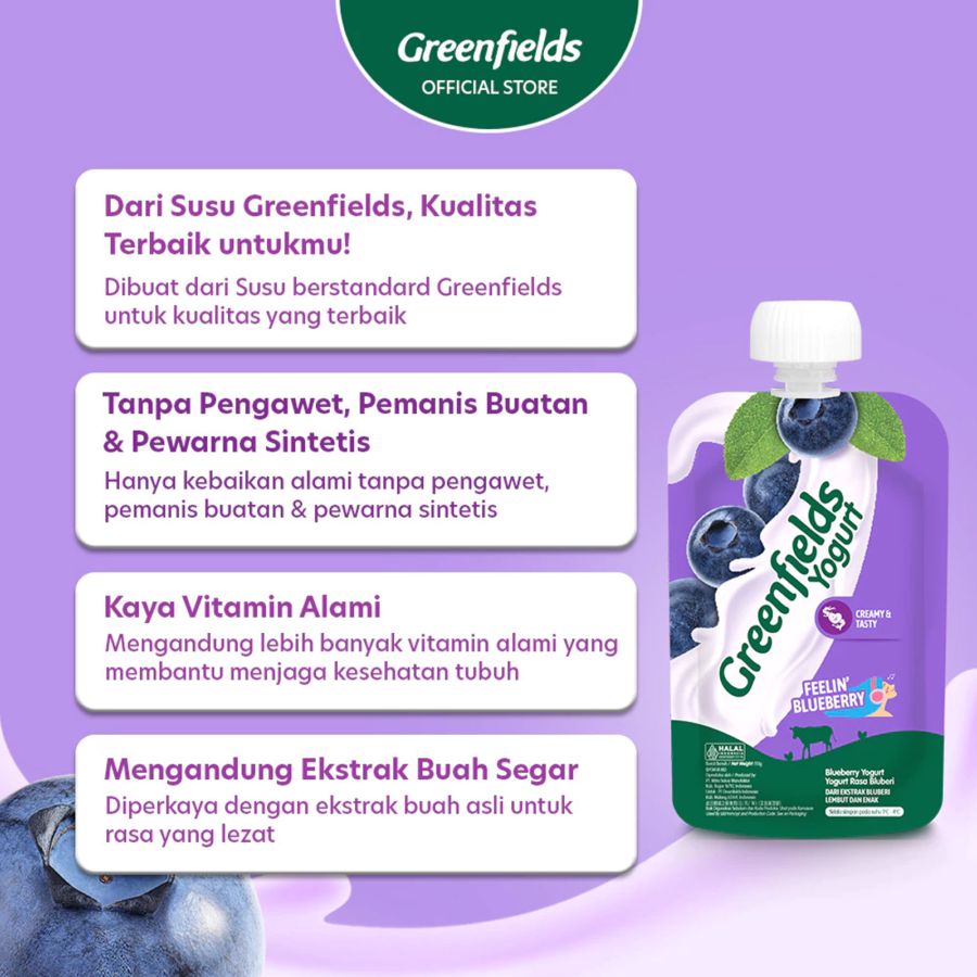Greenfields Blueberry Yogurt Pouch 110gram