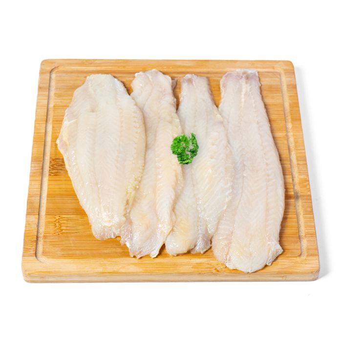 Ikan Dori Ekonomis