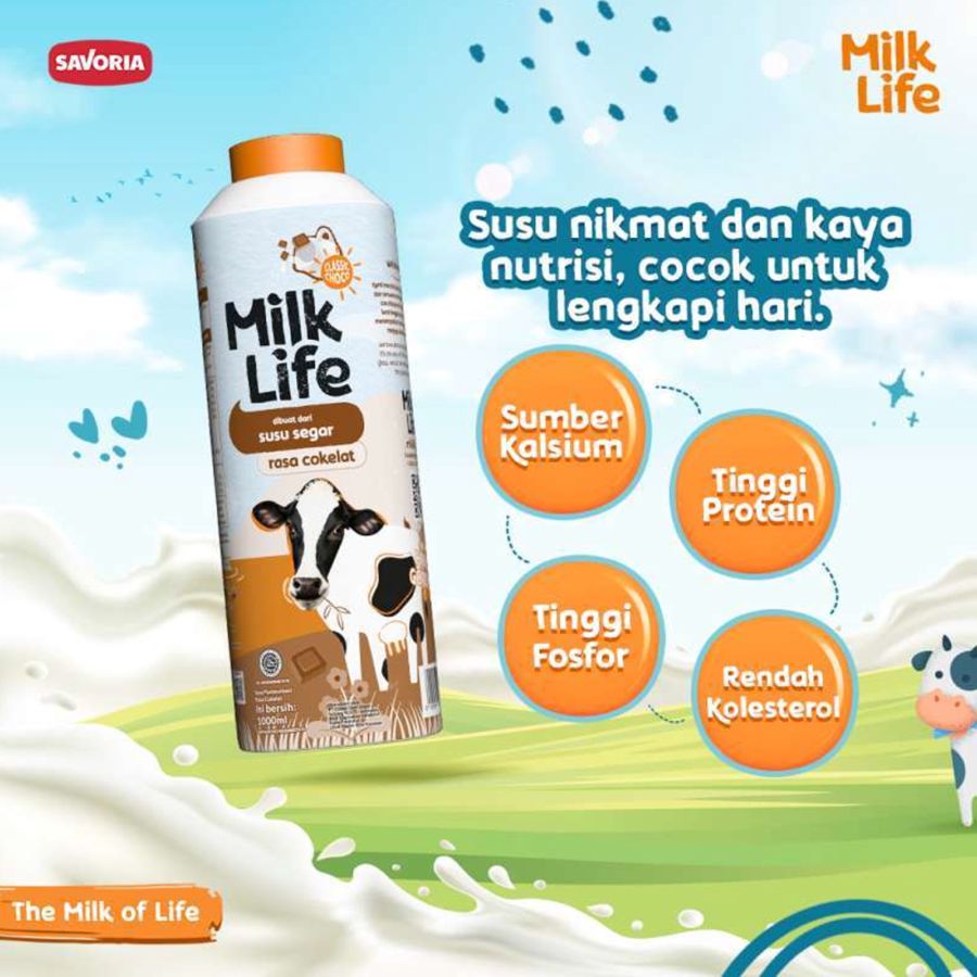 Milk Life Fresh Milk Chocolate 1000ml