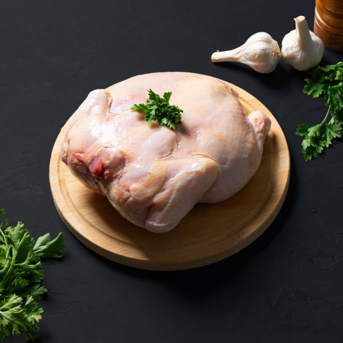 Olagud Frozen Chicken Probiotik 800gr