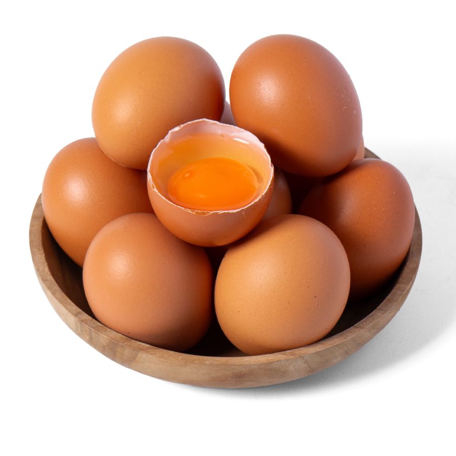 Telur Prima DHA Omega 3 10butir